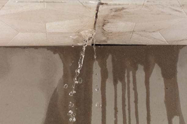 Professional Structural Drying technician working in Ledyard, CT